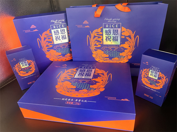案例展示