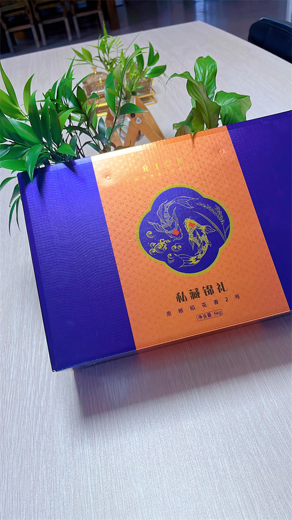 案例展示