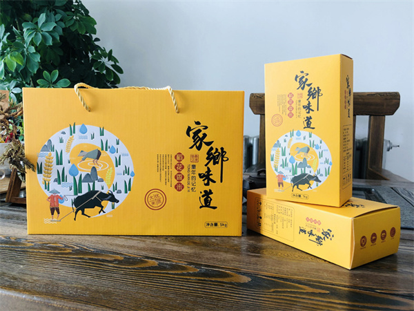 案例展示
