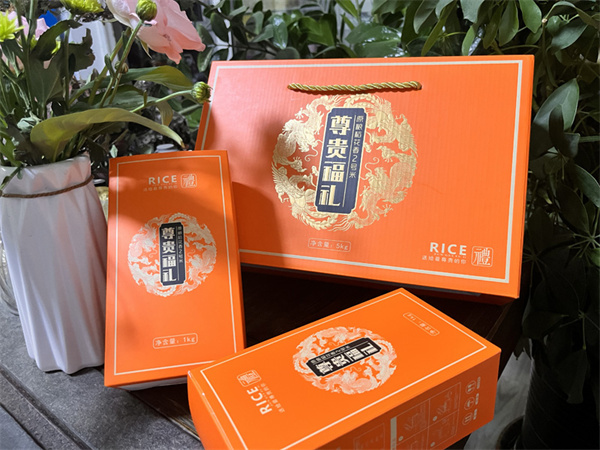 案例展示