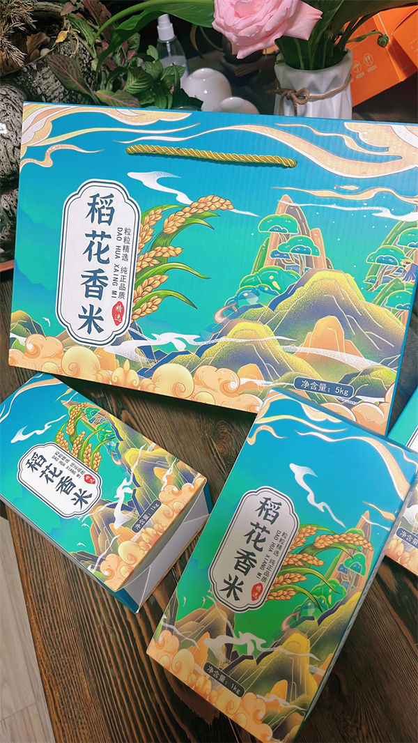 案例展示