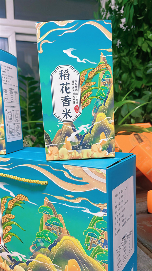 案例展示
