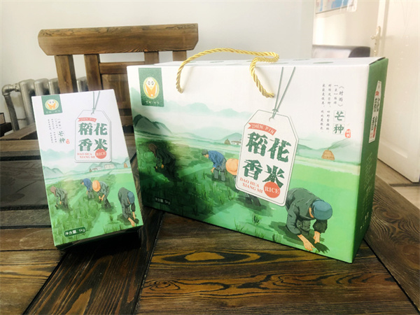 案例展示
