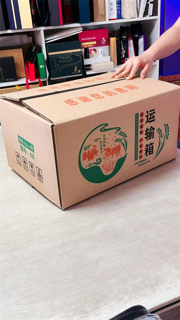 案例展示