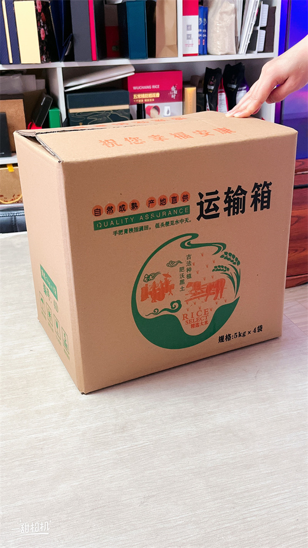案例展示